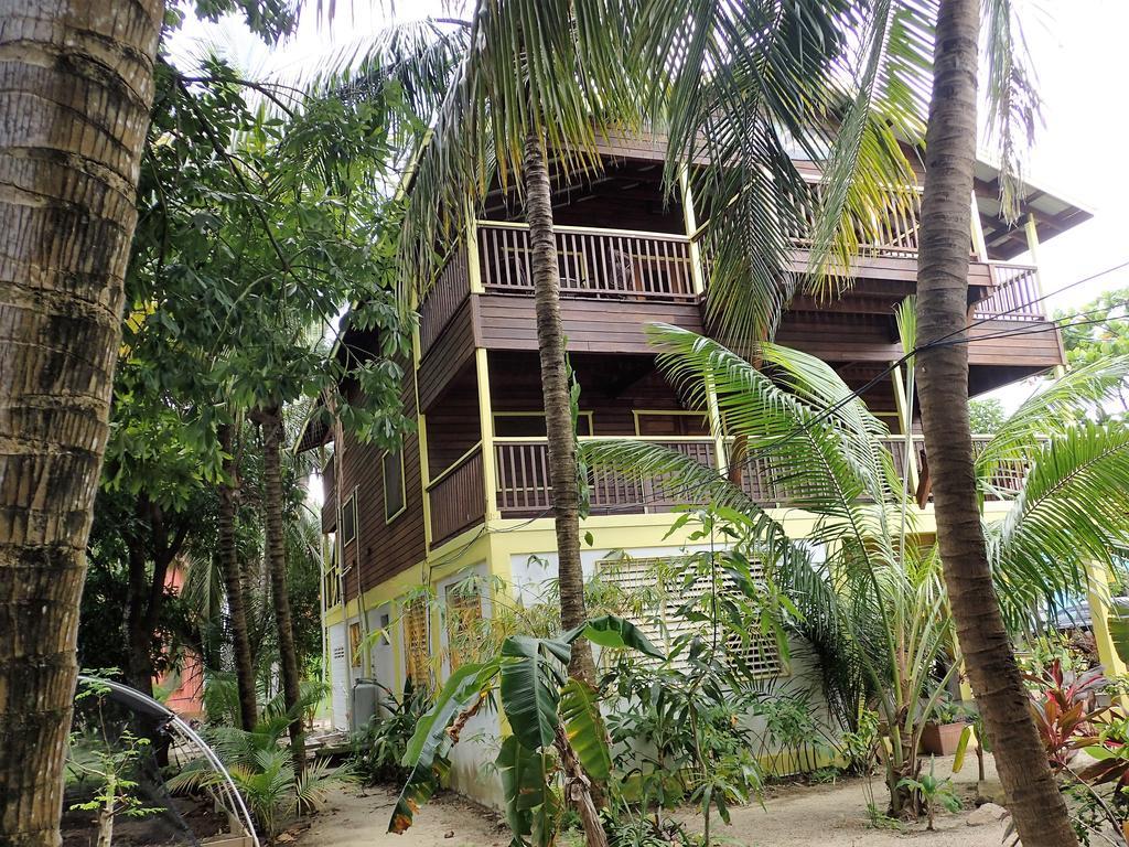 Driftwood Gardens Guesthouse Placencia Экстерьер фото